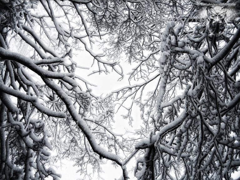 Factor R-elacional y ciberperiodismo