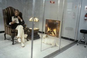 Fotograma de Human Nature, Rhys Ifans en su pequeña habitación de cristal